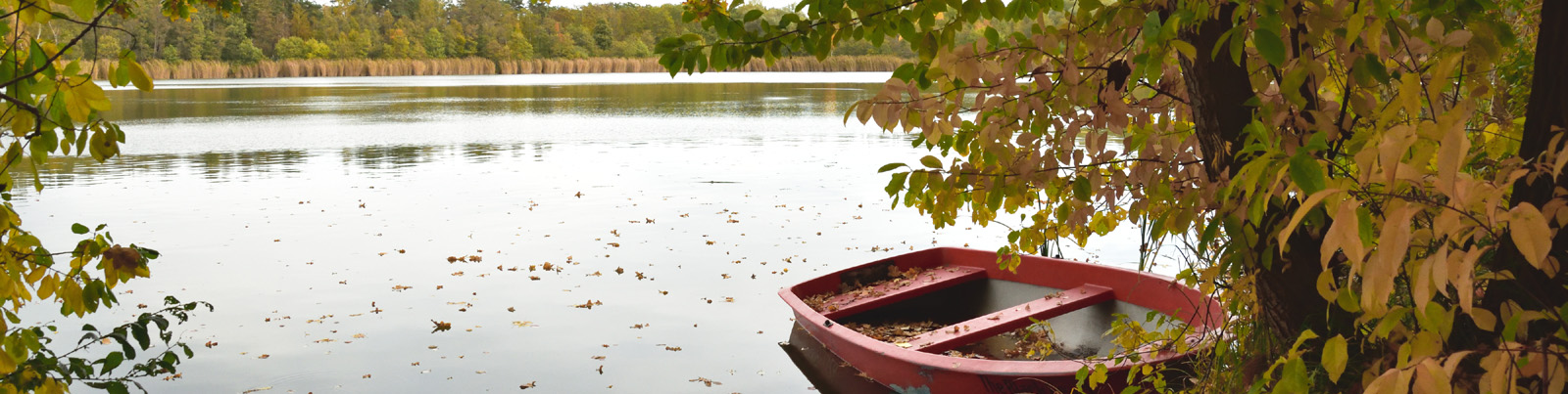 Ruderboot am Seeufer