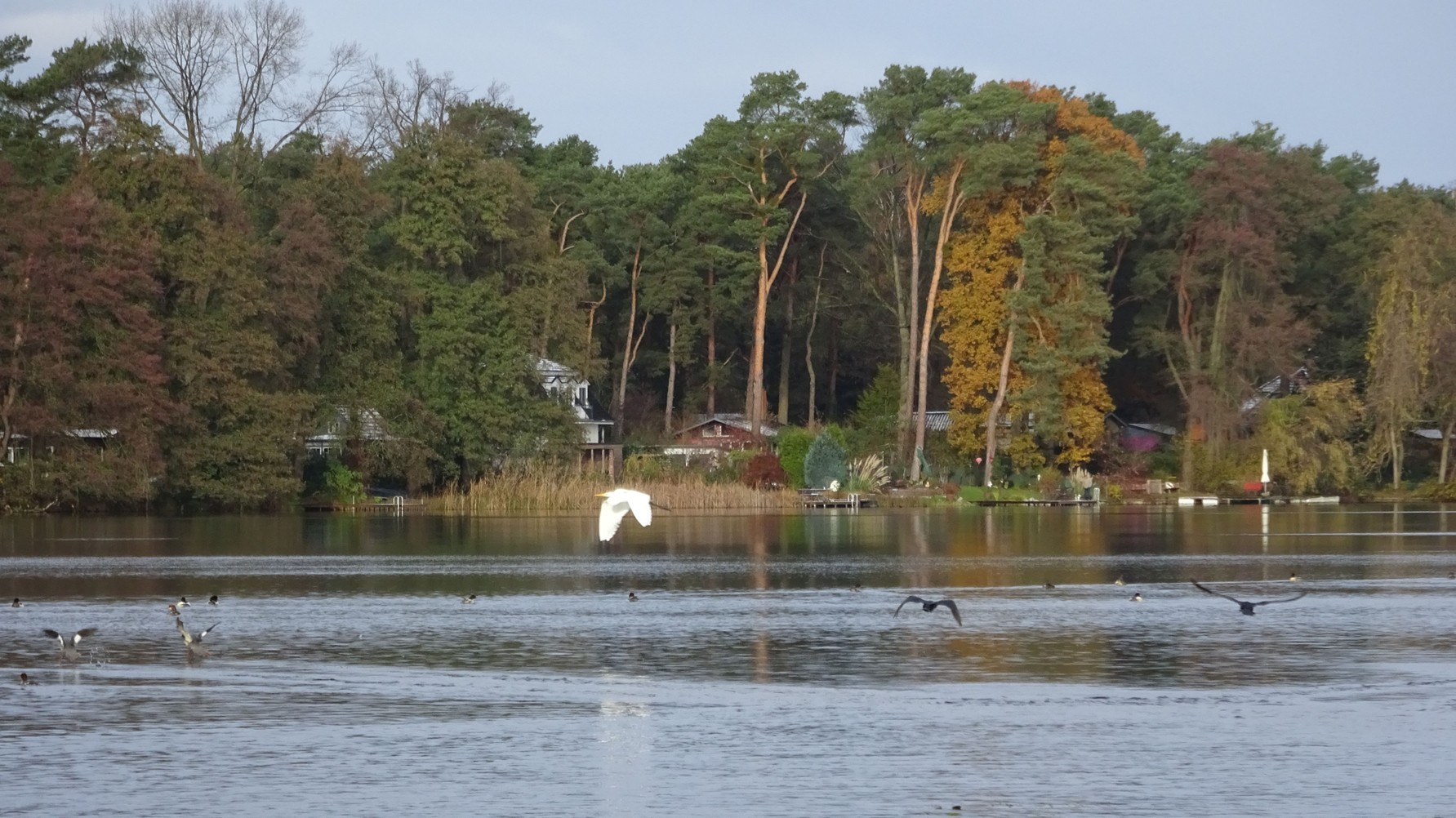 am Todtnitzsee